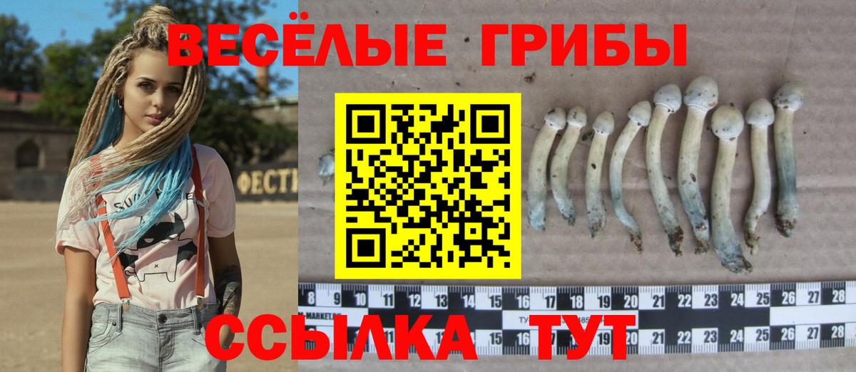 Псилоцибиновые грибы прущие грибы Сунжа