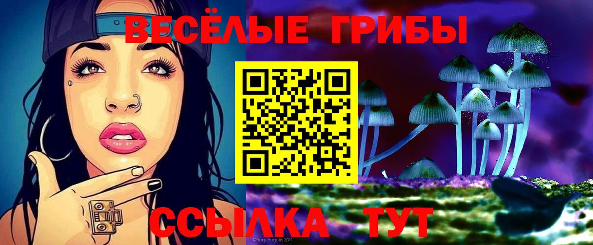 Галлюциногенные грибы прущие грибы  Вход с VPN  Сунжа 